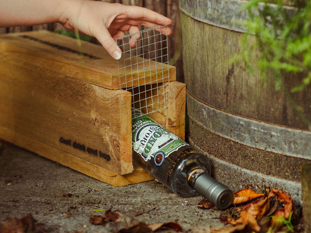 Kiwi Gin Released In Rat Trap Box To Help Wildlife Conservation The